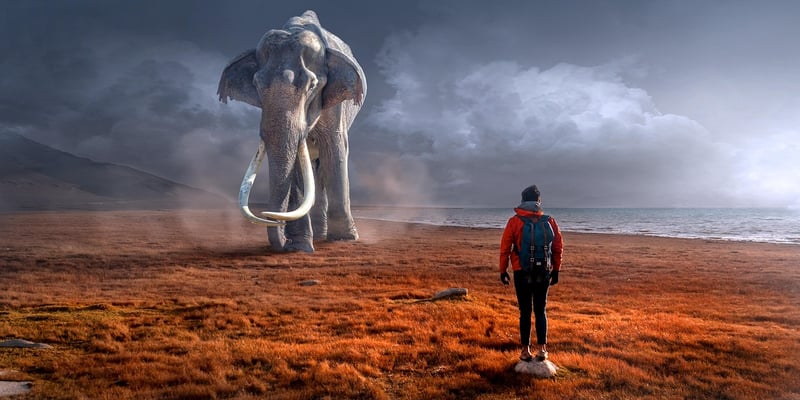 Ice Age Encounter